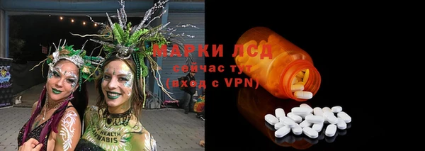 хмурый Алексеевка